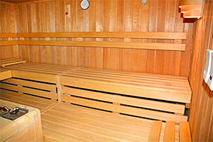 sauna2